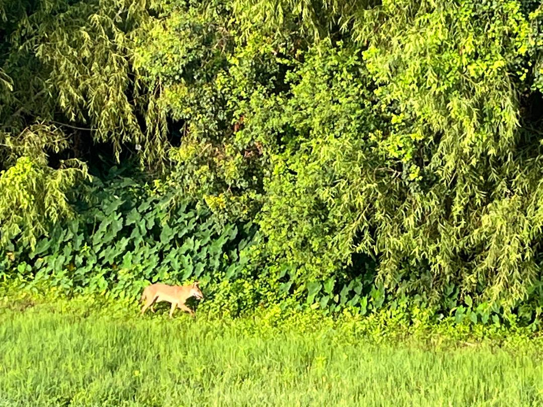 thumbnail - 2023-07-16T103658.051