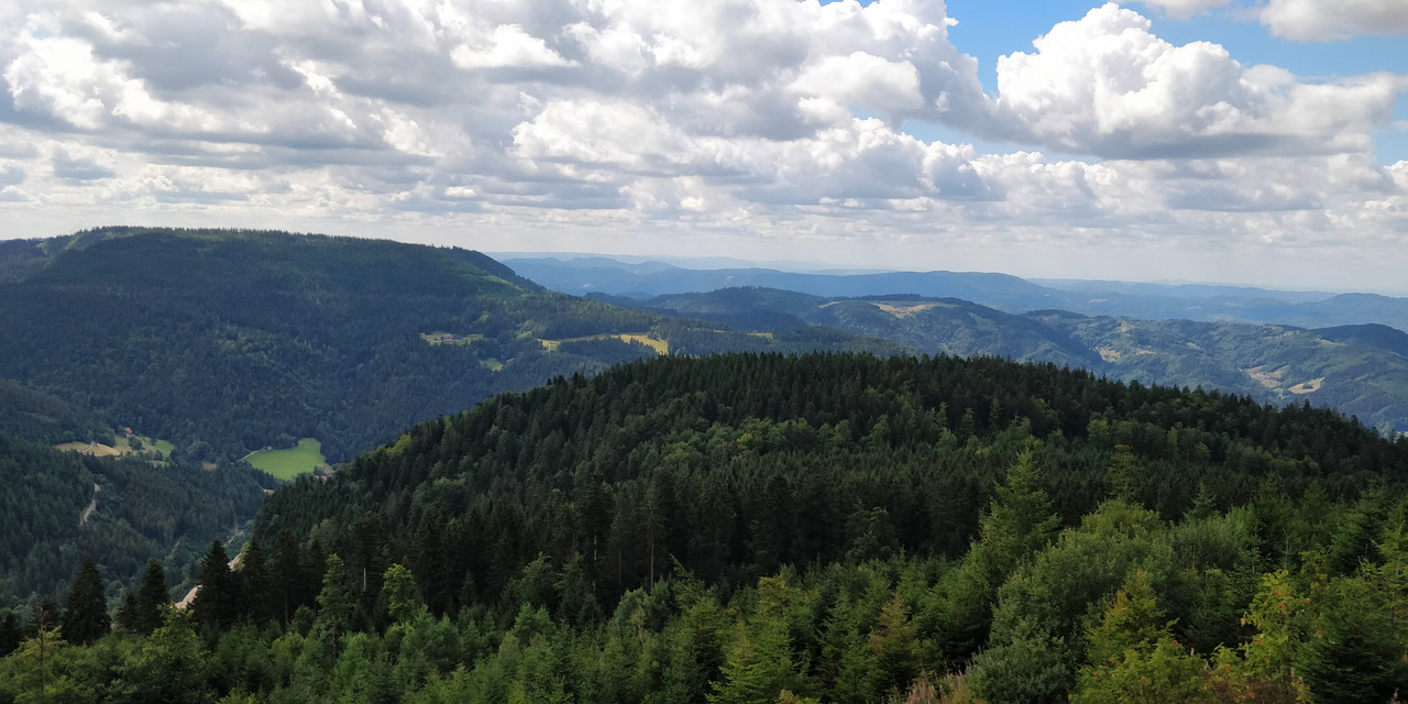 IMG_20180811_120228__01