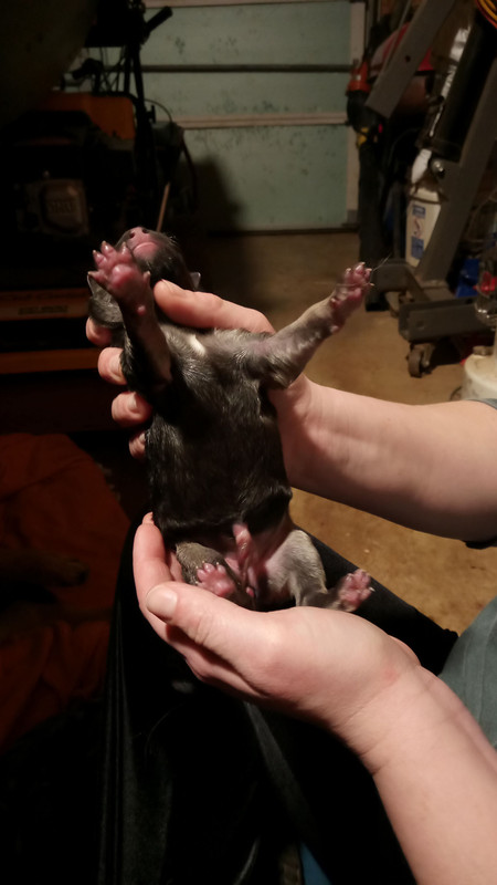 FF331C48-DE9D-4429-8257-F4DCCC041D3E