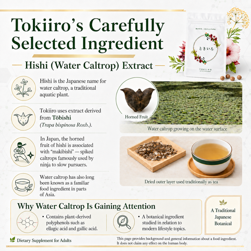 tokiiro-5