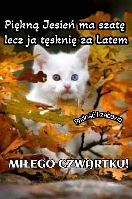Obrazek