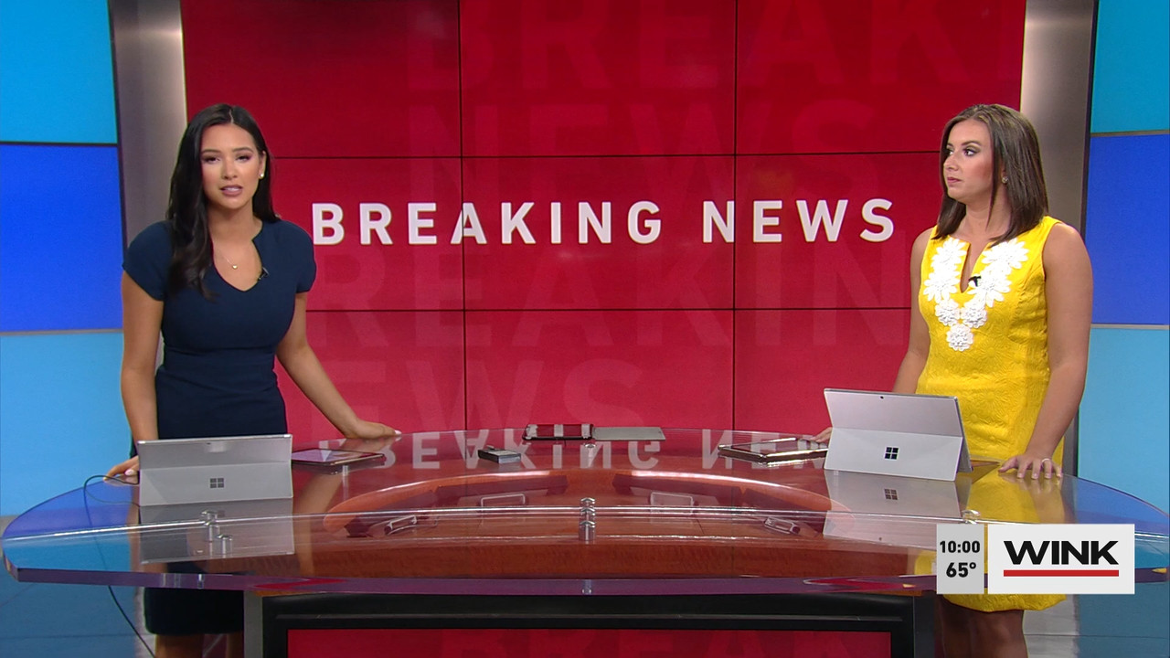 03.14 - 14.00.00 - WINK News at 9 00 a.m..ts_snapshot_00.02.36.952