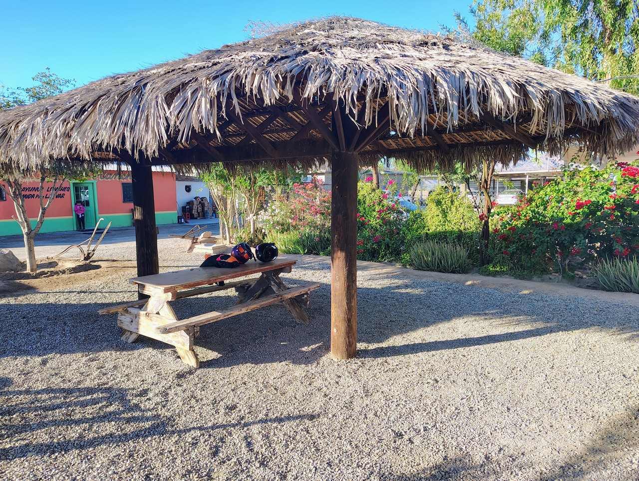 IMG 20251108 074630532 HDR AE