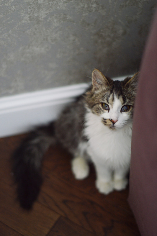 FullSizeRender-03-12-18-10-09-5 (1)