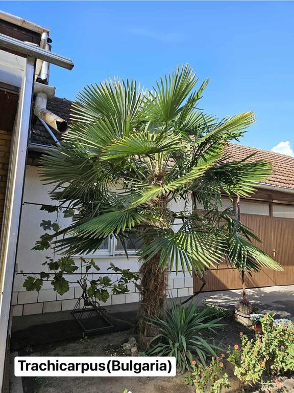 2702abb0 356d 472f b124 b1dc152d1cb1