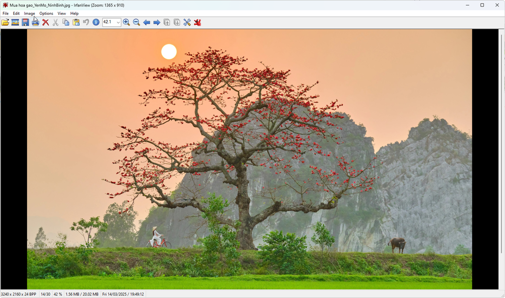 Irfan-View.png