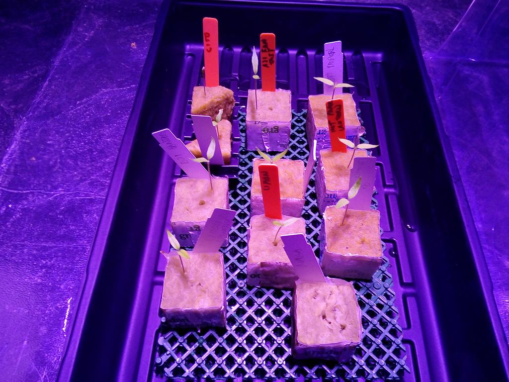 IMG-20190111-081626.jpg