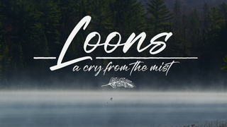 Loons-A-Cry-from-the-Mist-2022-1080p-NOW-WEB-DL-DDP5-1-H-264-HUN-AWS.png