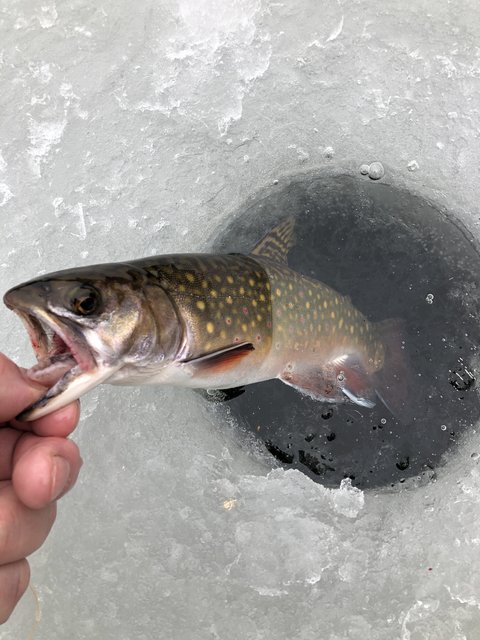 26681B74-8206-4F4A-820B-A4E907E90ED9