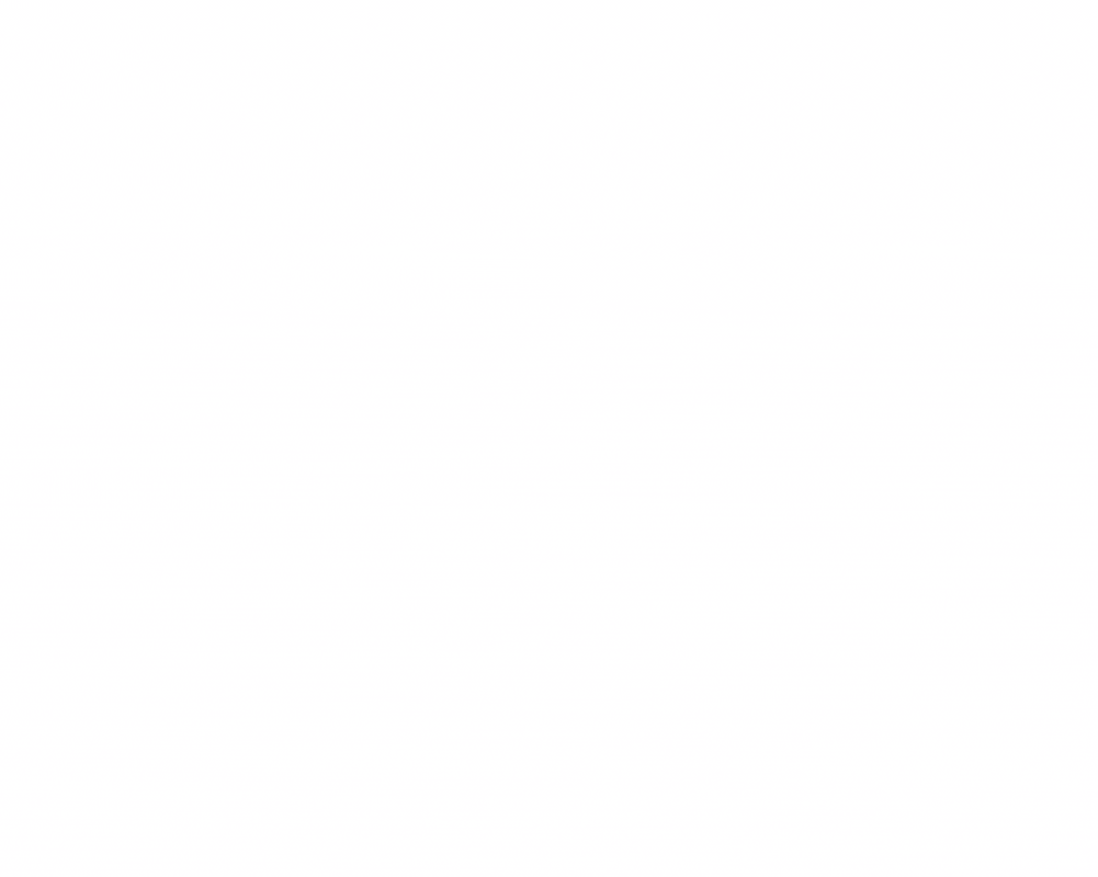 SSRP-2.gif