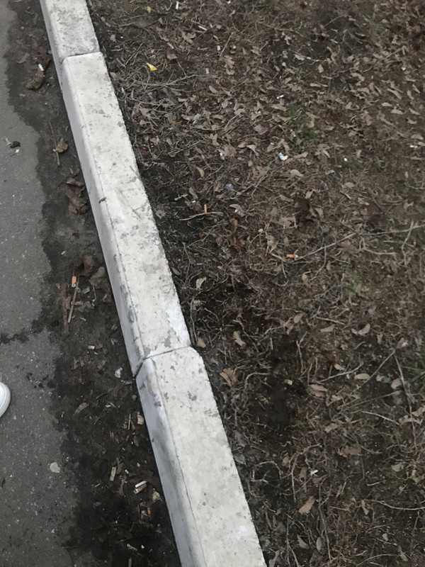 222B090E-D102-4188-8AAB-7B4CE63416E8