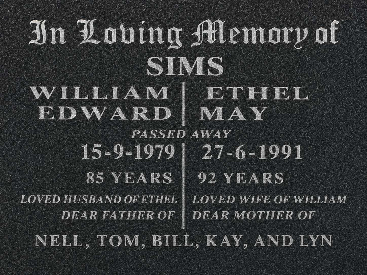 Will Sims 2