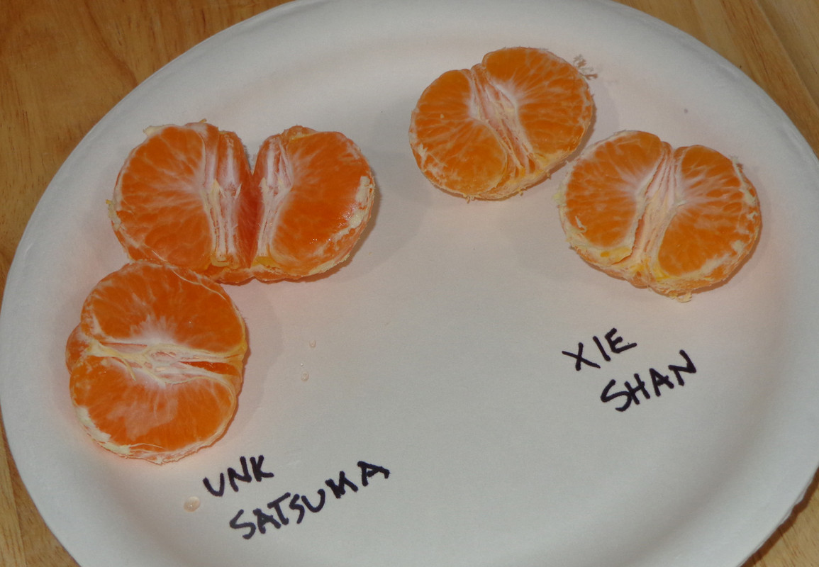 Xie_Shan-P5(9-23-21)