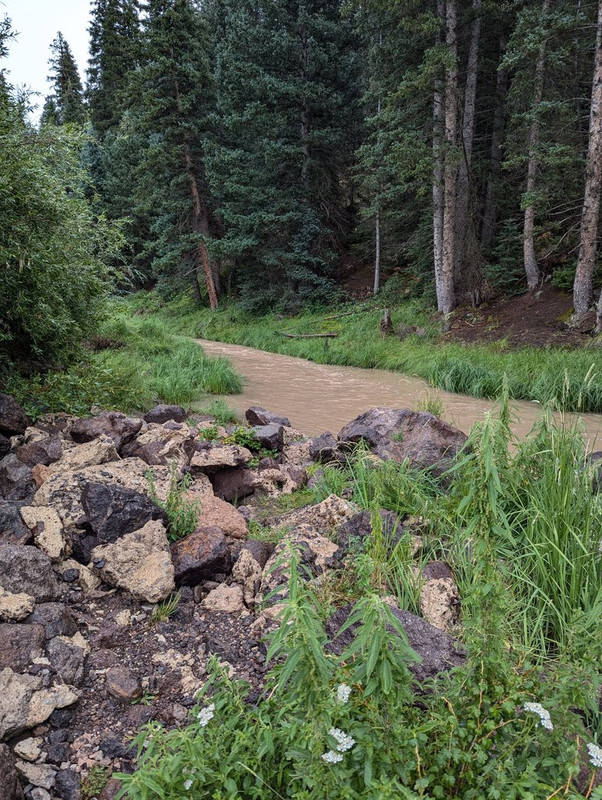 PXL_20240812_224213624