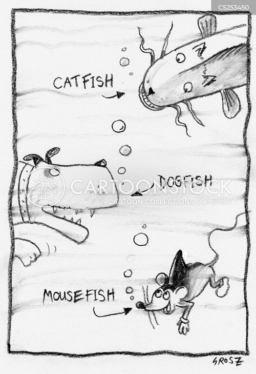 animals-hybrid-catfish-mousefish-cross-breeds-interbreeding-cgr0218-low.jpg