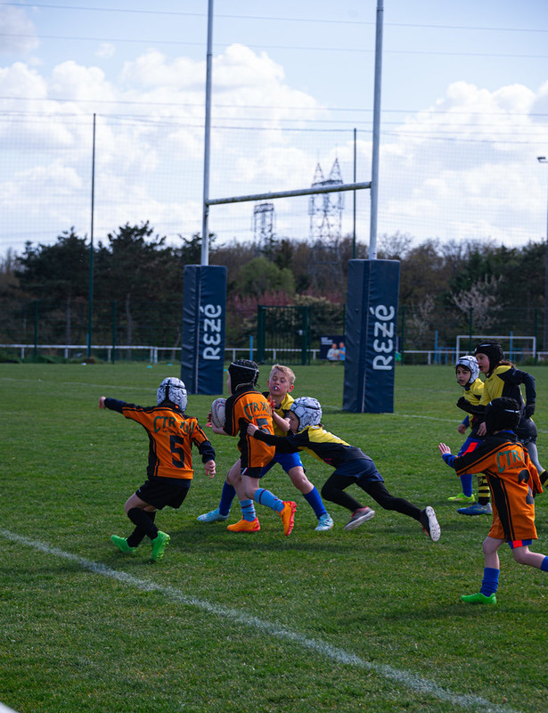 tournoi-de-latlantique-2026-adonis-griffon-69-55181457728-l