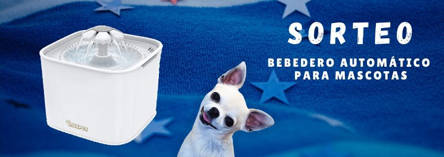 ¡SORTEO PERRUNO!