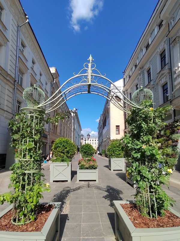 https://i.postimg.cc/sXt8j740/172-IMG-20240724-155520.jpg