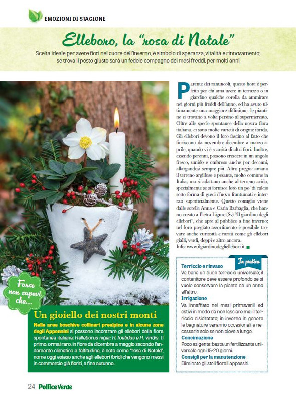 Pol Ver Dic 2023-Gen 2024 (4)