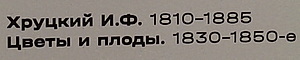 https://i.postimg.cc/sXtPcVps/1.jpg