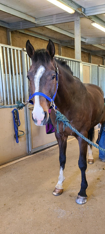 B5AA50C8-065D-4BE5-AD24-7059080BBD6C