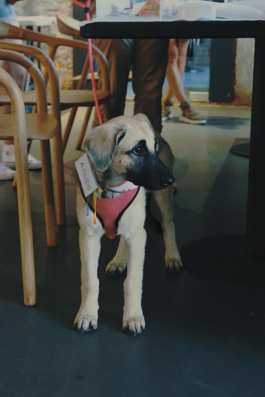 23-08-08_15-17-41-769