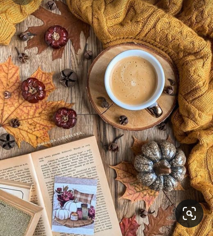 Screenshot_20231008_223001_Pinterest