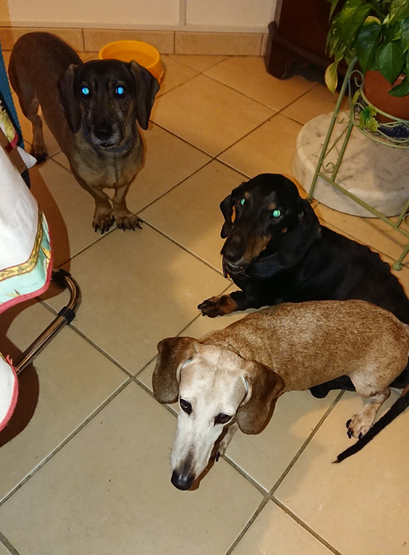 [Image: 20230215-213932.jpg]