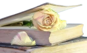 download-removebg-preview-(2)