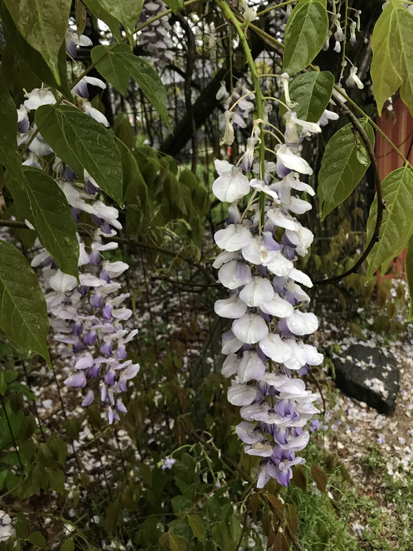 D68F0481-EF1F-47ED-A588-86BF8738AD05