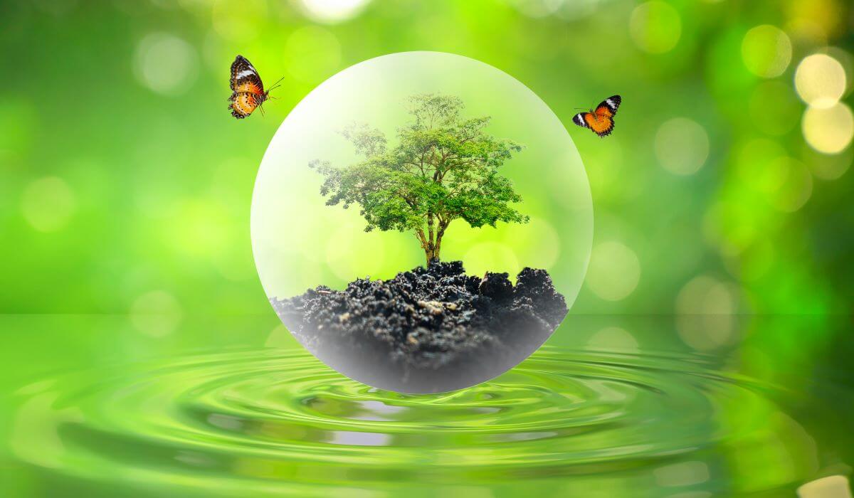 concept save the world save environment the world