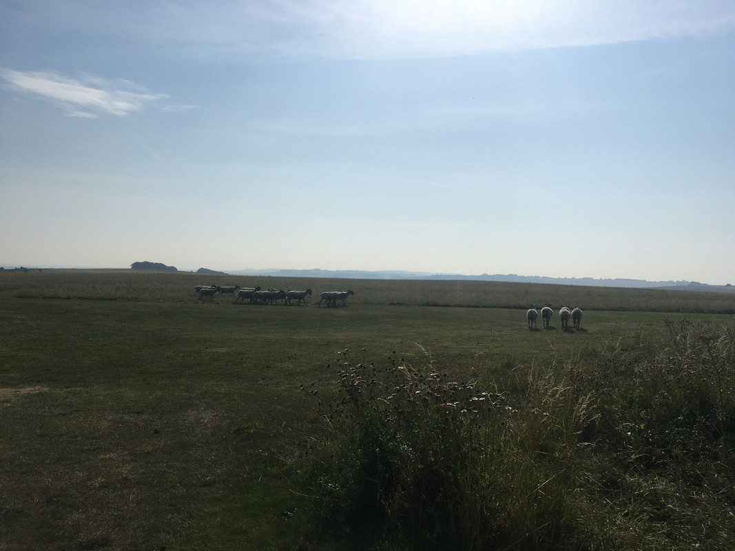 2A752A98-4DCD-4815-9C4A-DB1950509242