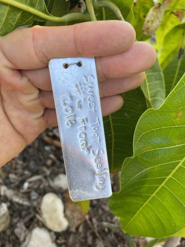 4E9A986C-7748-4319-A557-45FD449A81C8