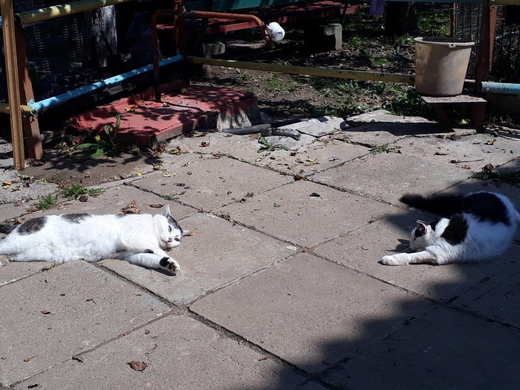 изображение_viber_2019-08-09_12-35-28