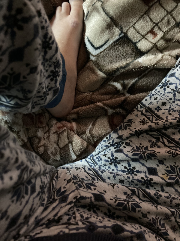 17576606-3DF4-4F76-A912-03EF80720EB0