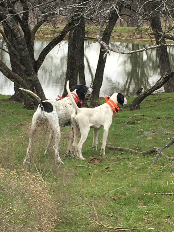 99DAF478-76A8-4436-A907-2F099C83F91A