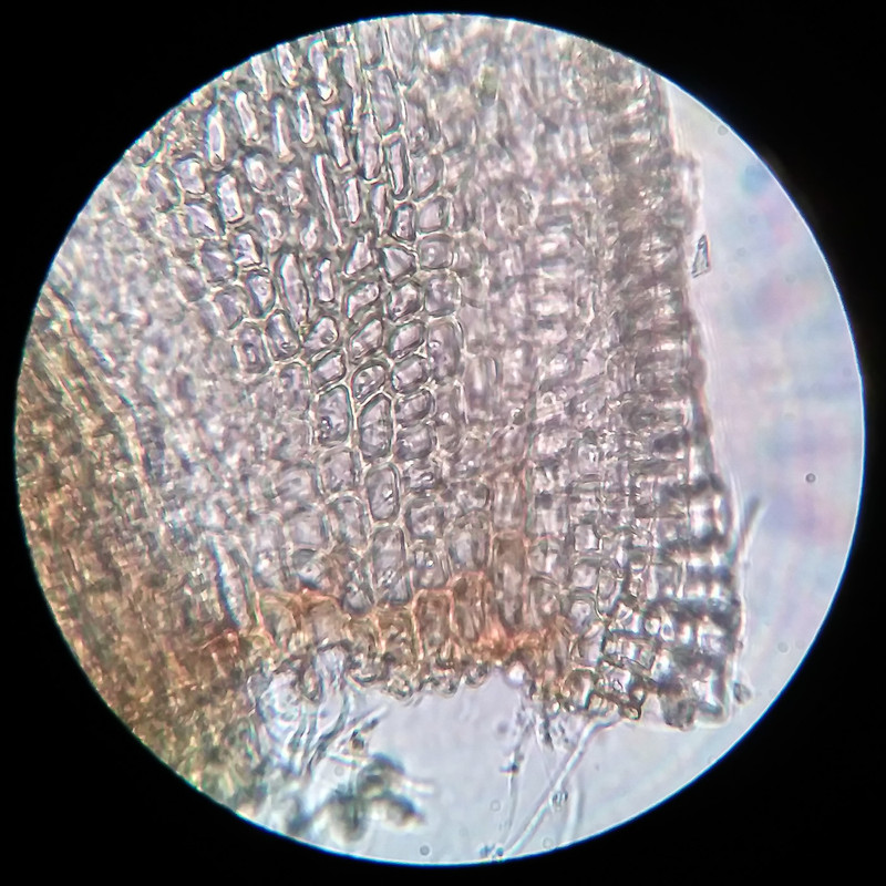 IMG 20250615 220747 HDR