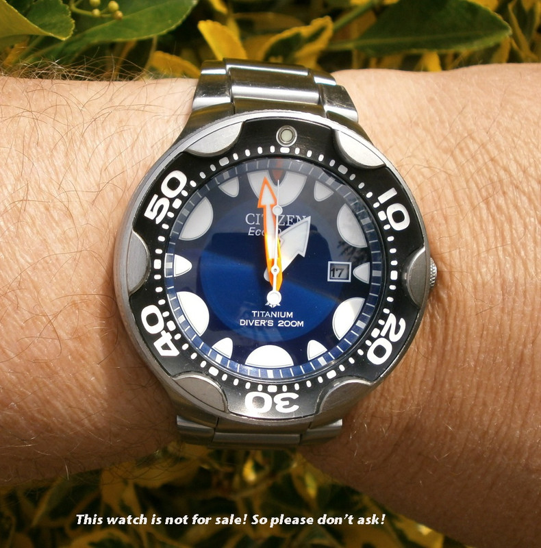 Citizen_Eco-Drive-Orca-BN0019-57L-3a