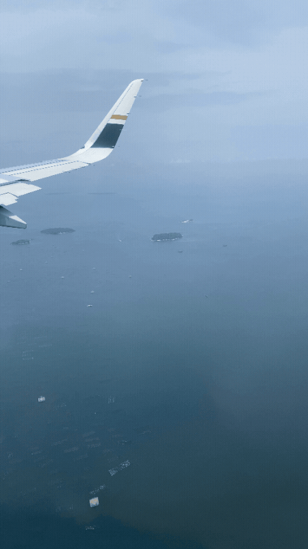 Adobe Express IMG 1421