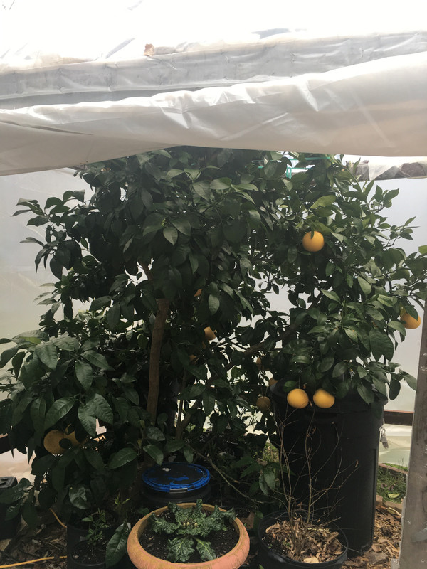 4FE63E2B-2E7D-4931-BFB6-9BED3C259159