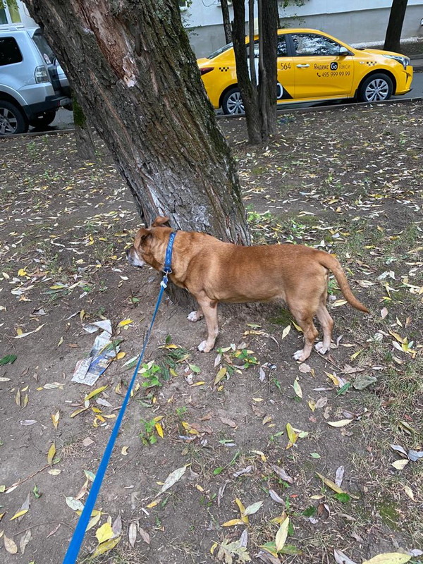 4C61C3AB-78CD-4E10-BD36-D5D42C3CFEAD