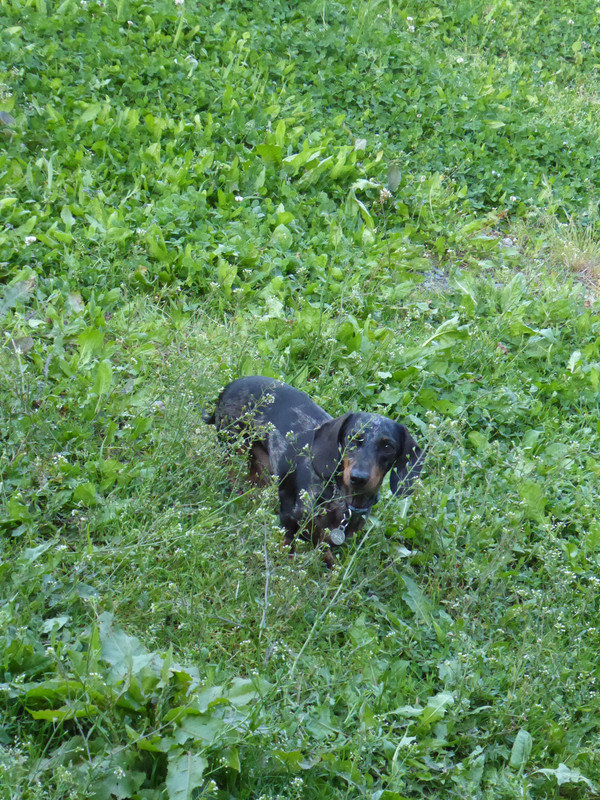 [Image: P1040964.jpg]