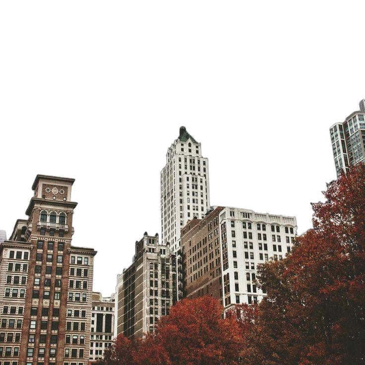 Tumblr l 501289477704137