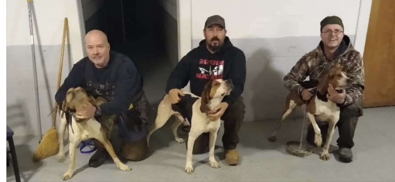 7D9E5298-66E3-434A-AEB1-7FCD43B633A1