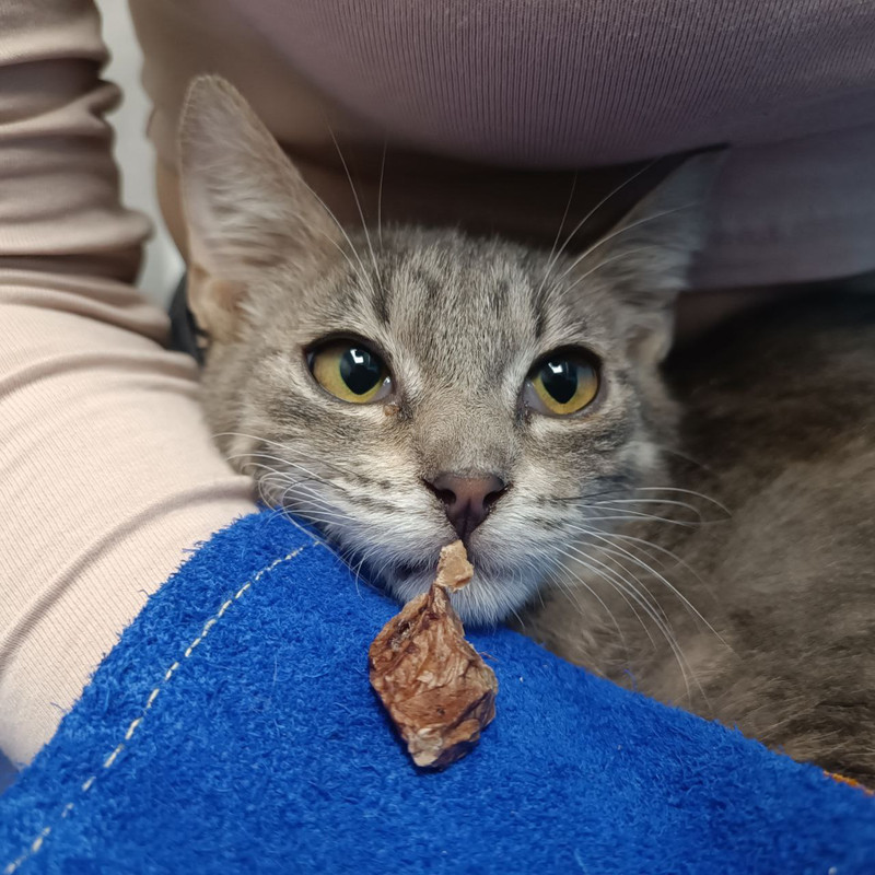 photo_2024-06-19_22-58-46