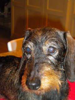 [Image: FB-IMG-1569253231818.jpg]