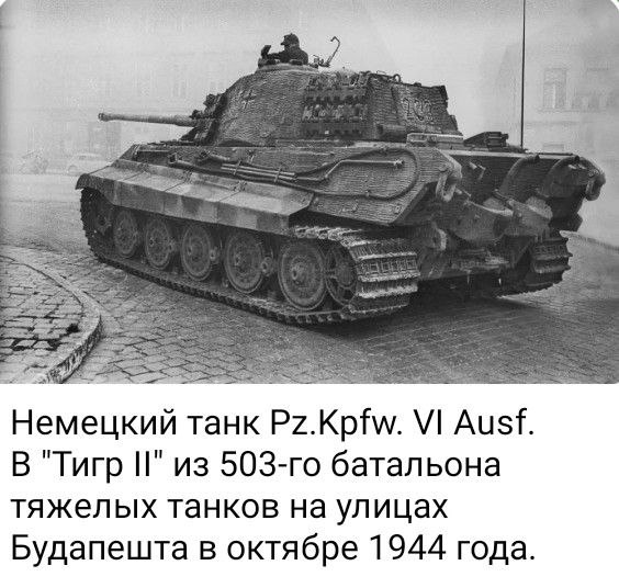 photo 2026 03 27 15 24 55