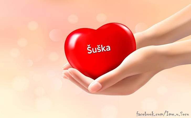 486620826-2874601532714599-6108205772055302113-n