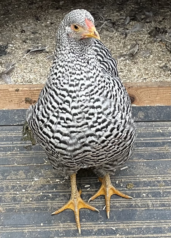 961580A3-0F63-4E1E-BC9F-5F9E74F1E782