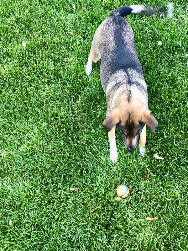 C773B254-CF35-46BD-8BAE-6E8BE7591BDB